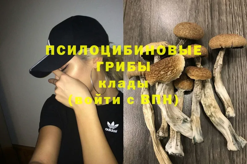 Галлюциногенные грибы GOLDEN TEACHER Топки